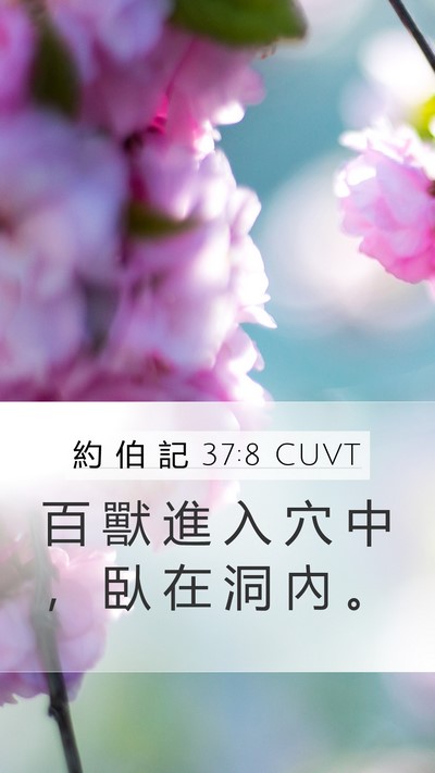 約 伯 記 37:8 CUVT Bible Verse Image