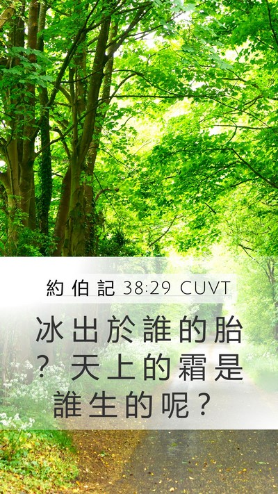約 伯 記 38:29 CUVT Bible Verse Image