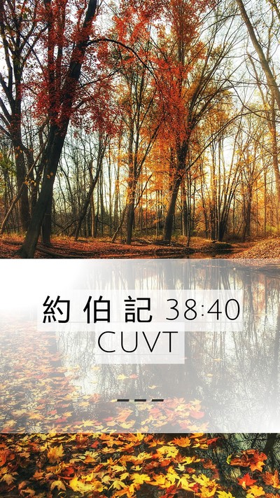約 伯 記 38:40 CUVT Bible Verse Image