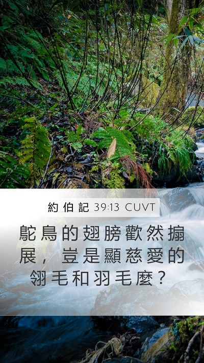 約 伯 記 39:13 CUVT Bible Verse Image