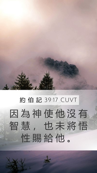 約 伯 記 39:17 CUVT Bible Verse Image