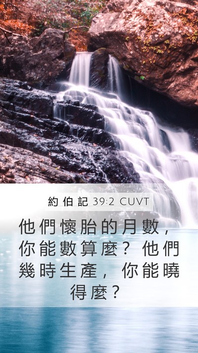 約 伯 記 39:2 CUVT Mobile Phone Wallpaper - 他 們 懷 胎 的 月 數 ， 你 能 數 算 - Mobile Bible Verse Wallpaper