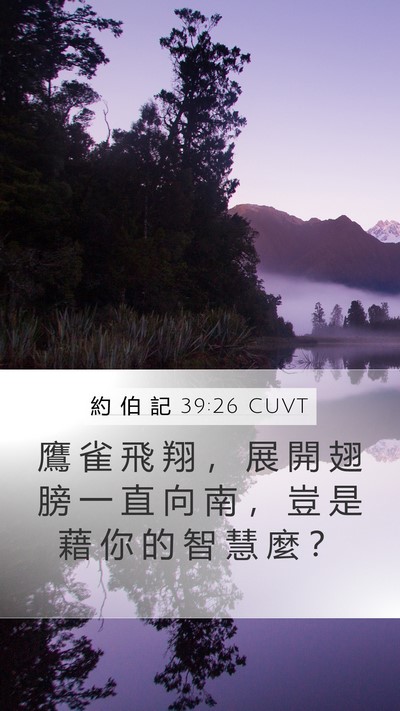 約 伯 記 39:26 CUVT Bible Verse Image