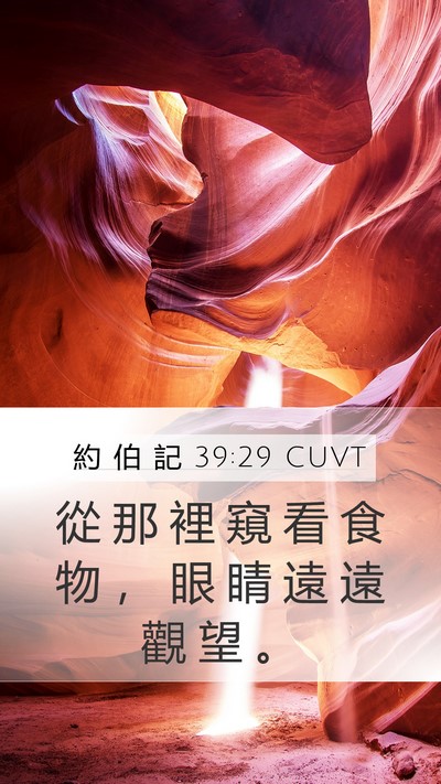 約 伯 記 39:29 CUVT Bible Verse Image