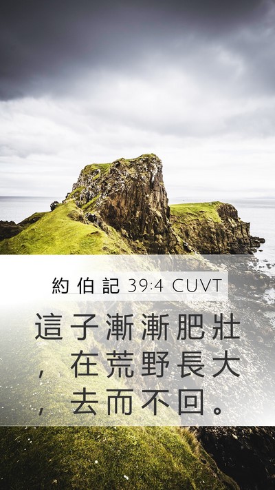 約 伯 記 39:4 CUVT Bible Verse Image