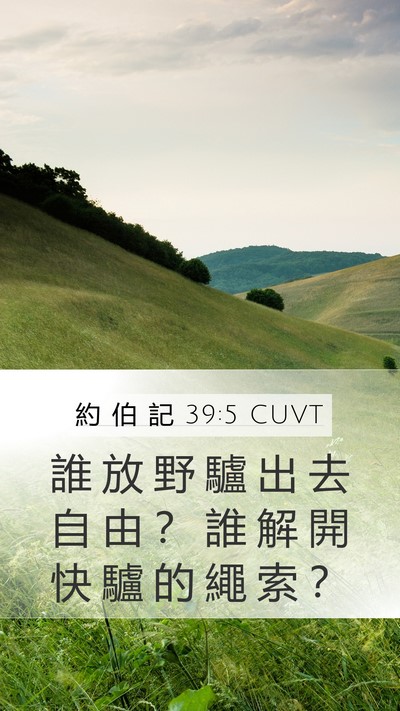 約 伯 記 39:5 CUVT Bible Verse Image