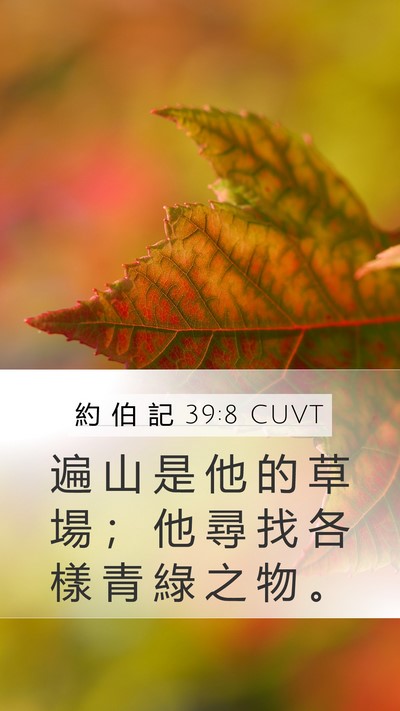 約 伯 記 39:8 CUVT Bible Verse Image