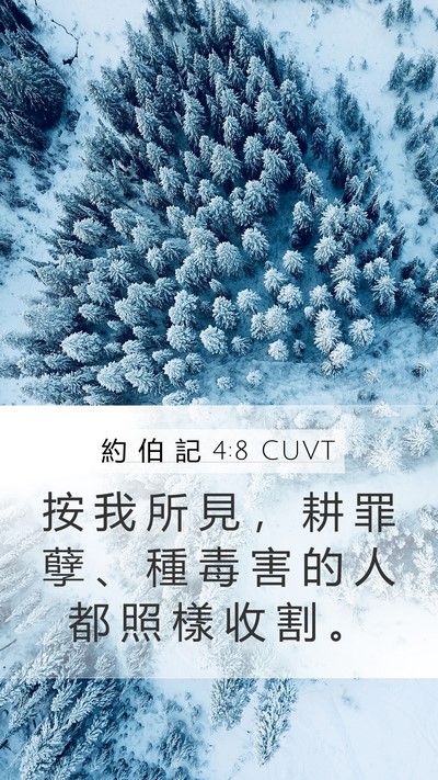 約 伯 記 4:8 CUVT Bible Verse Image