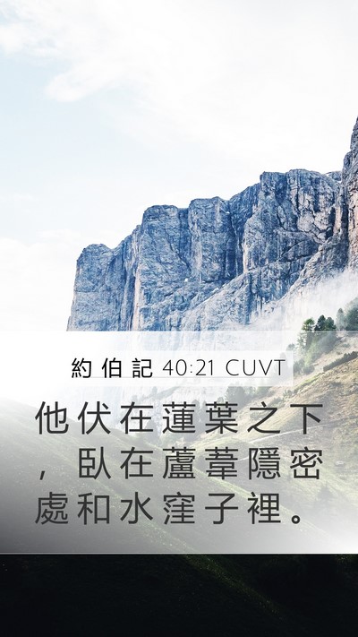 約 伯 記 40:21 CUVT Mobile Phone Wallpaper - 他 伏 在 蓮 葉 之 下 ， 臥 在 蘆 葦 - Mobile Bible Verse Wallpaper