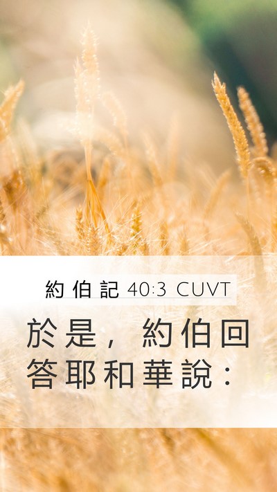 約 伯 記 40:3 CUVT Mobile Phone Wallpaper - 於 是 ， 約 伯 回 答 耶 和 華 說 - Mobile Bible Verse Wallpaper