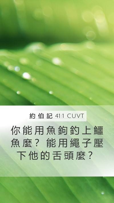 約 伯 記 41:1 CUVT Bible Verse Image