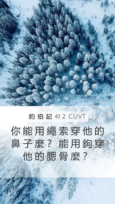 約 伯 記 41:2 CUVT Bible Verse Image