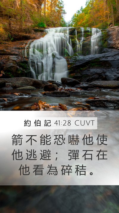 約 伯 記 41:28 CUVT Bible Verse Image