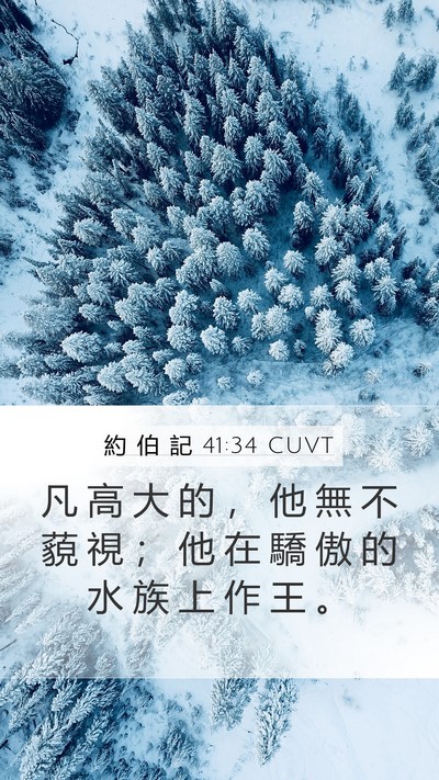 約 伯 記 41:34 CUVT Bible Verse Image