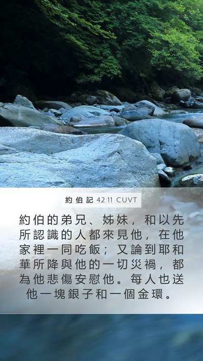 約 伯 記 42:11 CUVT Bible Verse Image