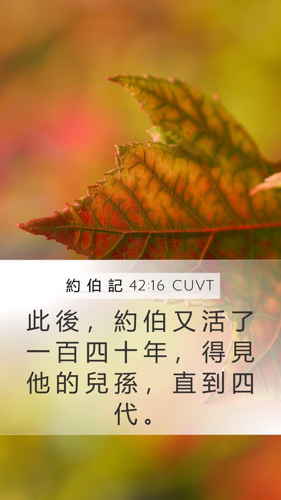約 伯 記 42:16 CUVT Bible Verse Image