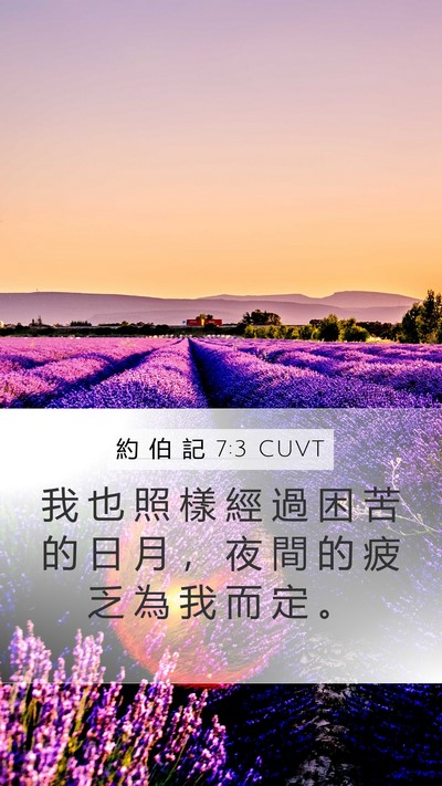 約 伯 記 7:3 CUVT Bible Verse Image