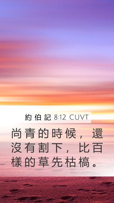 約 伯 記 8:12 CUVT Bible Verse Image