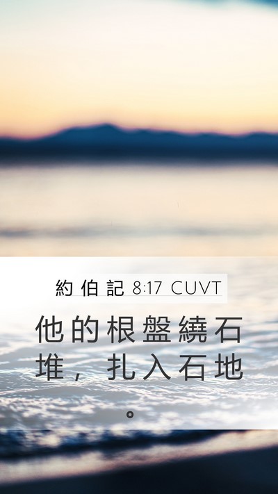 約 伯 記 8:17 CUVT Mobile Phone Wallpaper - 他 的 根 盤 繞 石 堆 ， 扎 入 石 地 - Mobile Bible Verse Wallpaper