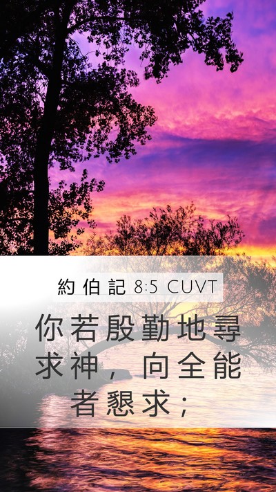 約 伯 記 8:5 CUVT Bible Verse Image