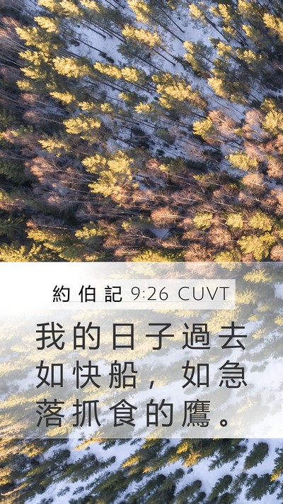 約 伯 記 9:26 CUVT Mobile Phone Wallpaper - 我 的 日 子 過 去 如 快 船 ， 如 急 - Mobile Bible Verse Wallpaper