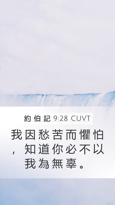 約 伯 記 9:28 CUVT Bible Verse Image