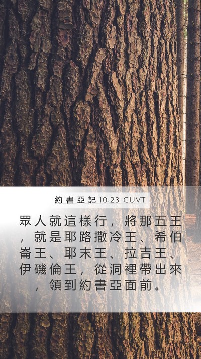 約 書 亞 記 10:23 CUVT Bible Verse Image