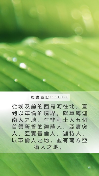 約 書 亞 記 13:3 CUVT Bible Verse Image