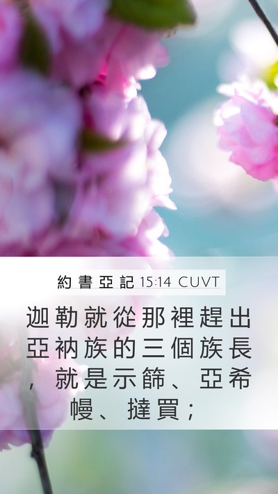 約 書 亞 記 15:14 CUVT Bible Verse Image
