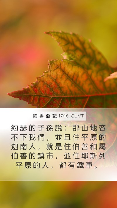 約 書 亞 記 17:16 CUVT Mobile Phone Wallpaper - 約 瑟 的 子 孫 說 ： 那 山 地 容 不 - Mobile Bible Verse Wallpaper