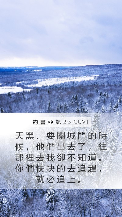 約 書 亞 記 2:5 CUVT Mobile Phone Wallpaper - 天 黑 、 要 關 城 門 的 時 候 ， 他 - Mobile Bible Verse Wallpaper