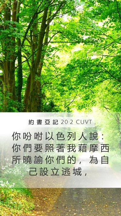 約 書 亞 記 20:2 CUVT Mobile Phone Wallpaper - 你 吩 咐 以 色 列 人 說 ： 你 們 要 - Mobile Bible Verse Wallpaper