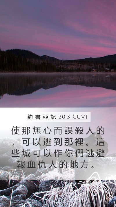 約 書 亞 記 20:3 CUVT Bible Verse Image
