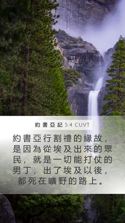 約 書 亞 記 5:4 CUVT Mobile Phone Wallpaper - 約 書 亞 行 割 禮 的 緣 故 ， 是 因 - Mobile Bible Verse Wallpaper