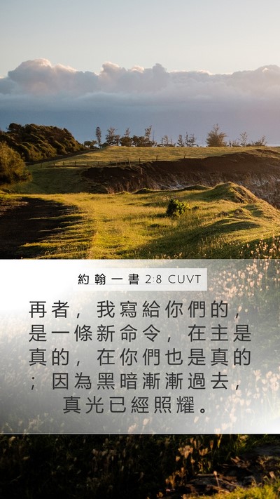 約 翰 一 書 2:8 CUVT Bible Verse Image
