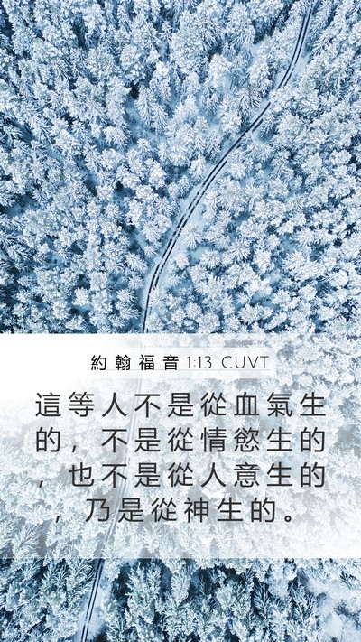 約 翰 福 音 1:13 CUVT Bible Verse Image
