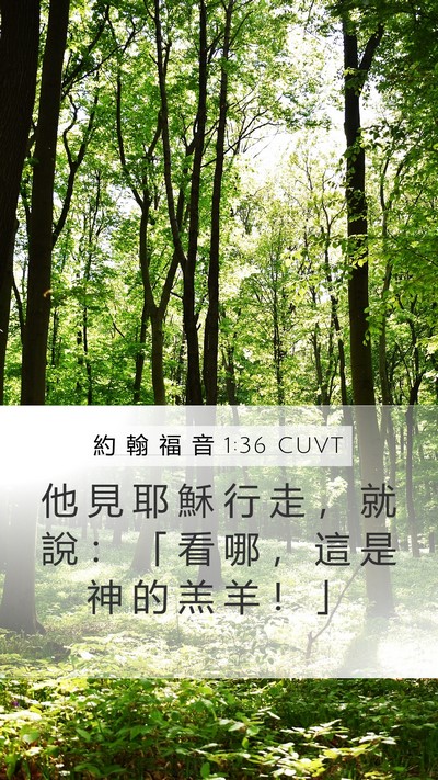 約 翰 福 音 1:36 CUVT Bible Verse Image