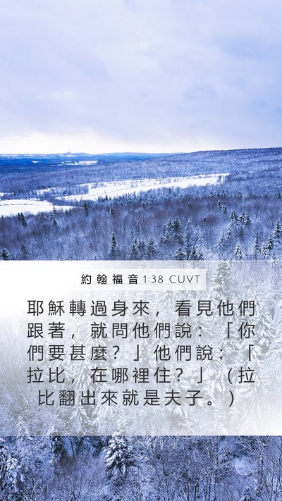 約 翰 福 音 1:38 CUVT Bible Verse Image