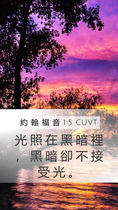 約 翰 福 音 1:5 CUVT Bible Verse Image