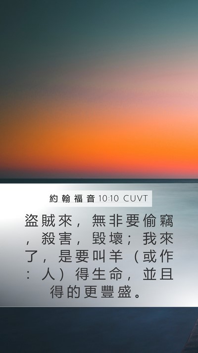 約 翰 福 音 10:10 CUVT Bible Verse Image