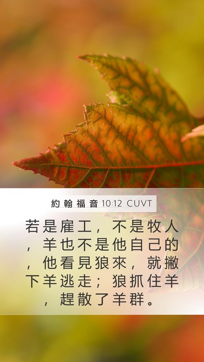 約 翰 福 音 10:12 CUVT Bible Verse Image