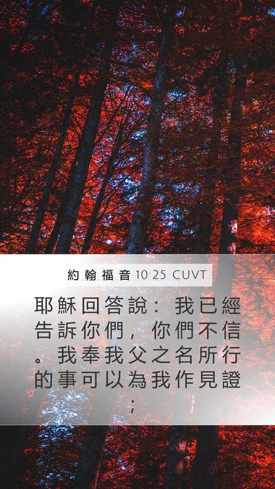 約 翰 福 音 10:25 CUVT Bible Verse Image