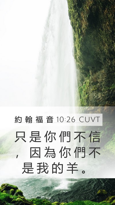 約 翰 福 音 10:26 CUVT Bible Verse Image
