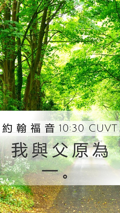 約 翰 福 音 10:30 CUVT Bible Verse Image