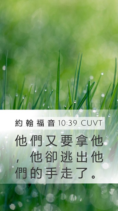 約 翰 福 音 10:39 CUVT Bible Verse Image