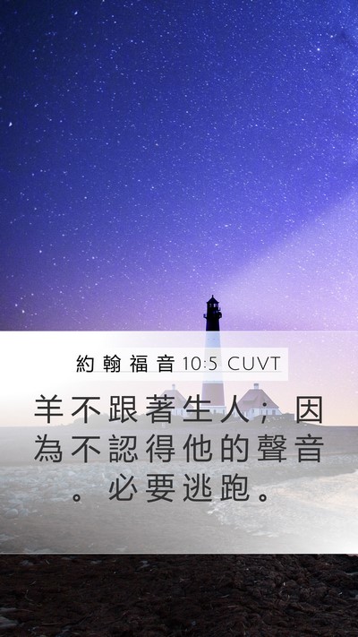 約 翰 福 音 10:5 CUVT Bible Verse Image