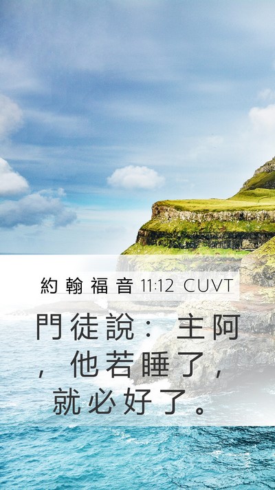 約 翰 福 音 11:12 CUVT Mobile Phone Wallpaper - 門 徒 說 ： 主 阿 ， 他 若 睡 了 ， - Mobile Bible Verse Wallpaper