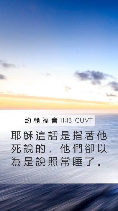 約 翰 福 音 11:13 CUVT Mobile Phone Wallpaper - 耶 穌 這 話 是 指 著 他 死 說 的 ， - Mobile Bible Verse Wallpaper