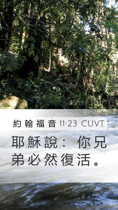 約 翰 福 音 11:23 CUVT Bible Verse Image