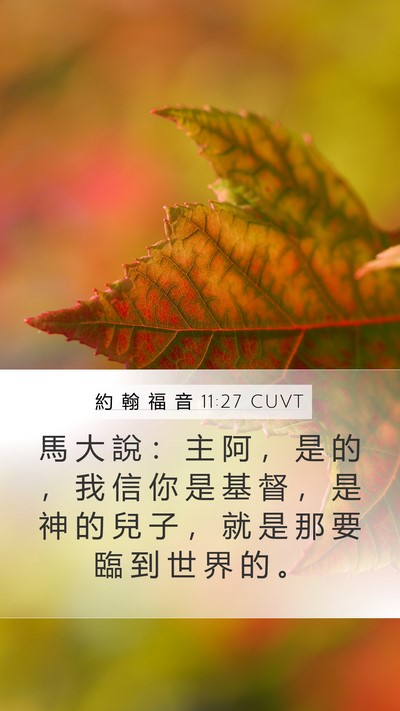 約 翰 福 音 11:27 CUVT Bible Verse Image